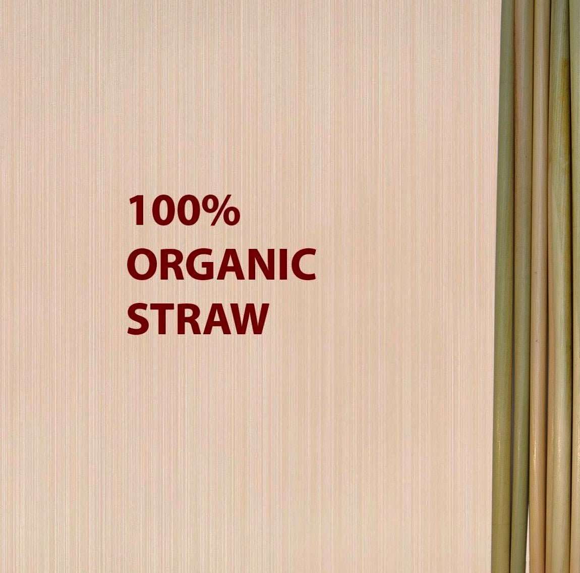 Biofase rietjes Cocktailrietjes van 15 cm (48 stuks) Cocktailrietjes van 14 cm (2000 stuks)/Bestel eenvoudig online/Anisana