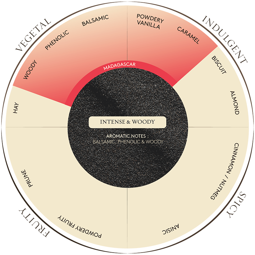 Prova Vanille-extract met zaadjes 1L Vaniflor vanille-extract met zaadjes/Bestel eenvoudig online/Anisana