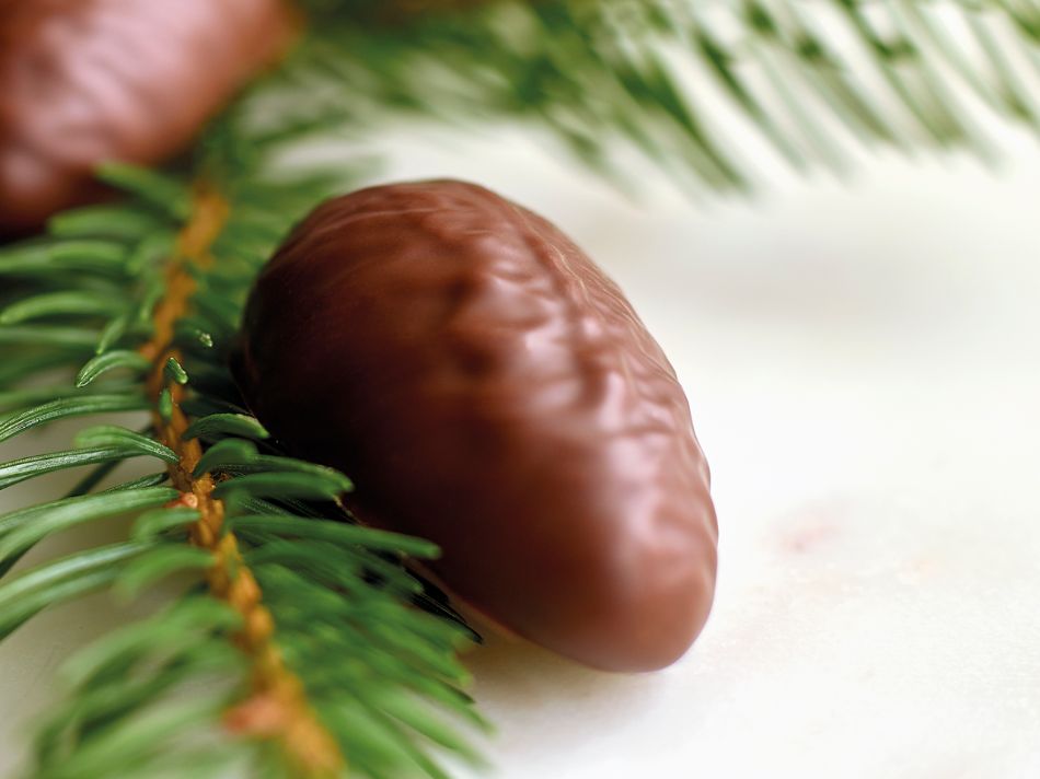 Plantaardige chocolade: van niche tot voedselrevolutie