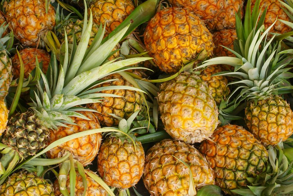 Anisana 5kg Ananas Fruitbereiding Ananas voor zuivel/Bestel eenvoudig online/Anisana