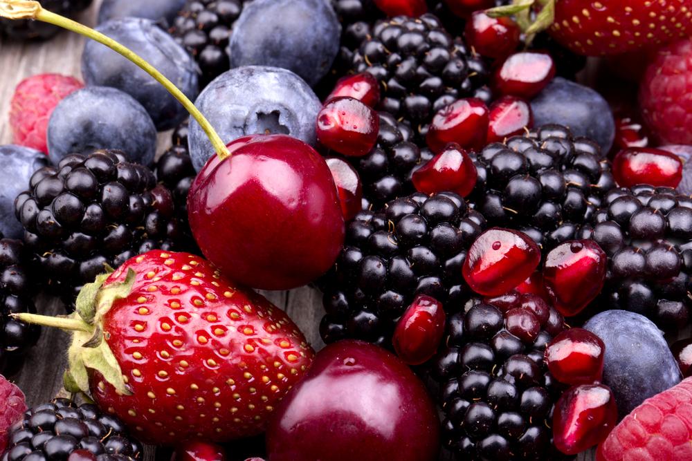 Bosvruchten – fruitbereiding 46% fruit – 5 kg