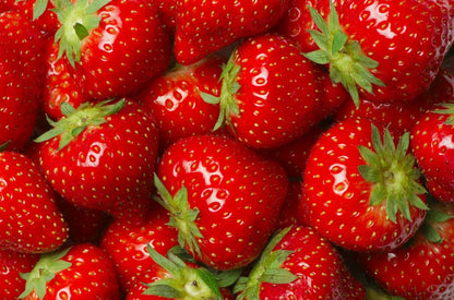 Aardbei – fruitbereiding 46% fruit – 5 kg