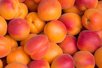 Anisana Fruitbereiding 5kg Abrikoos Fruitbereiding abrikoos voor zuivel/Bestel eenvoudig online/Anisana