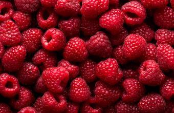 Anisana Fruitbereiding 5kg Framboos Framboos/Bestel eenvoudig online/Anisana